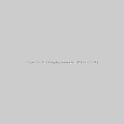 Human Lactate Dehydrogenase A ELISA Kit (LDHA)